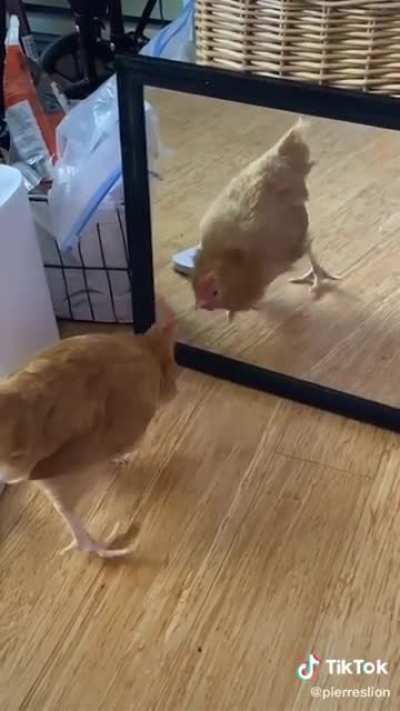 Maybe Maybe Maybe