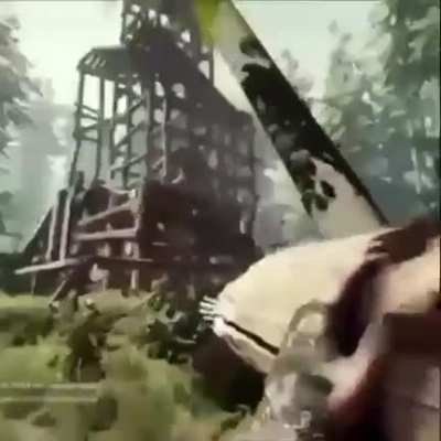 moldy falling tree