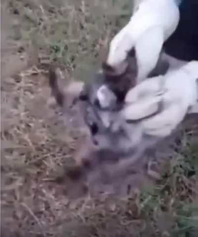 He remembered the situation he was in. 