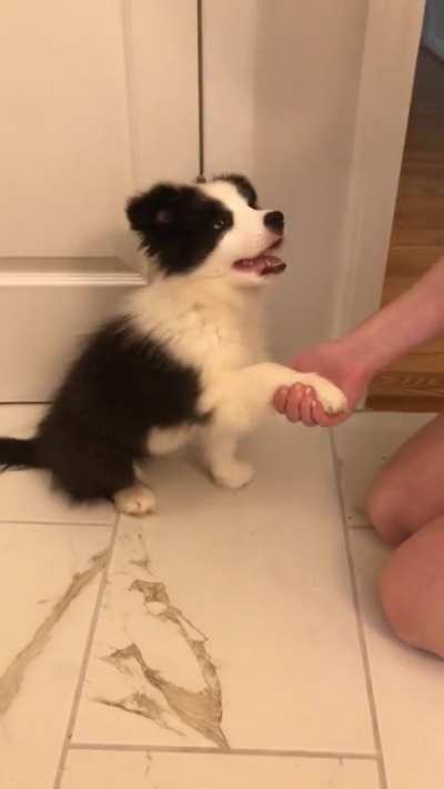 11.5 weeks and we are getting left vs right!