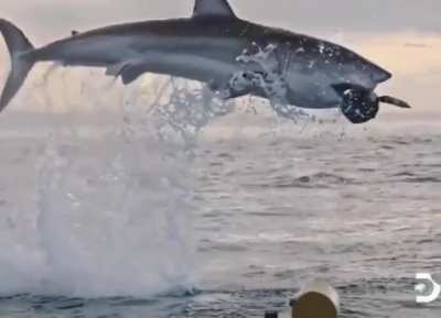 Shaek catching air. The first time I saw something like this it was like, 