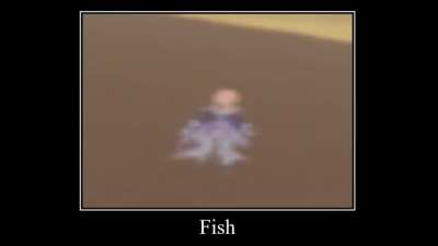 desert fish