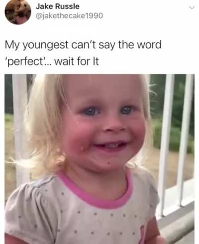 Perfection of the word perfect is... wait for it
