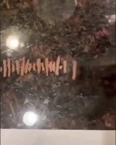 Hotdog bad
