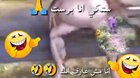 Funny arab frog magician pakistani legit 100% 😂😂😂 scare frog