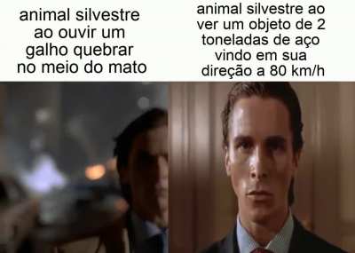 eu_nvr