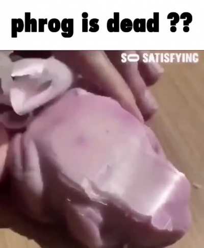 rest in phrog 😥