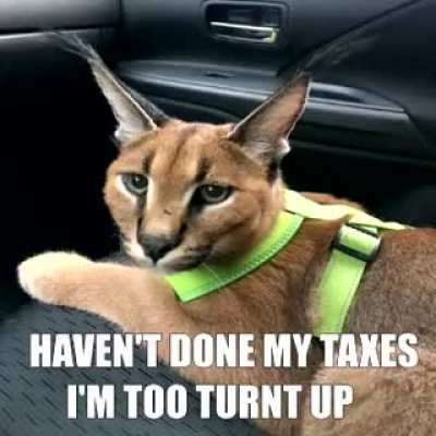 Flop ’fo no taxes