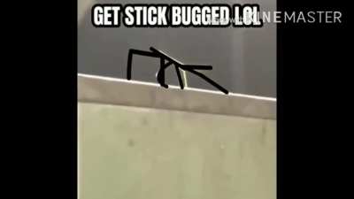 Hehe