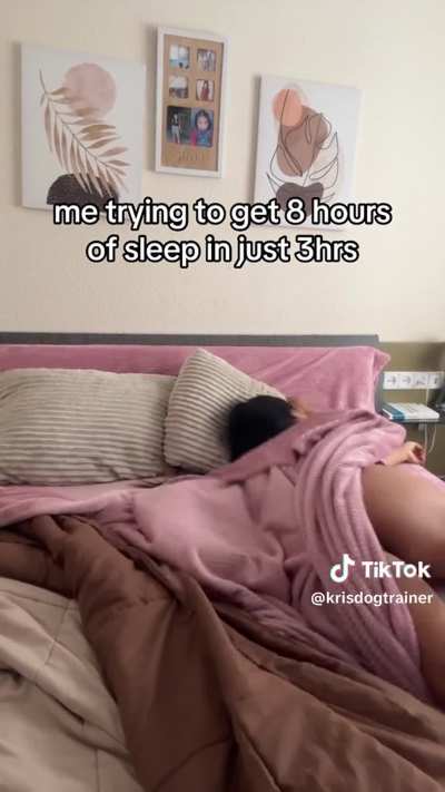 @kris<wbr>dogtr<wbr>ainer why it's so hard to fall asleep