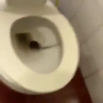 where da rat doin