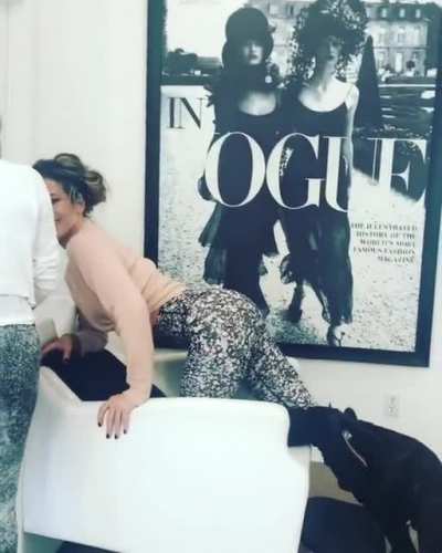 See that dog...