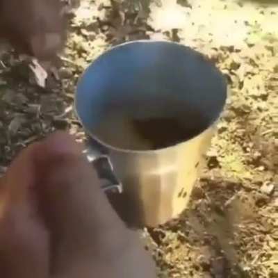 Fresh latte