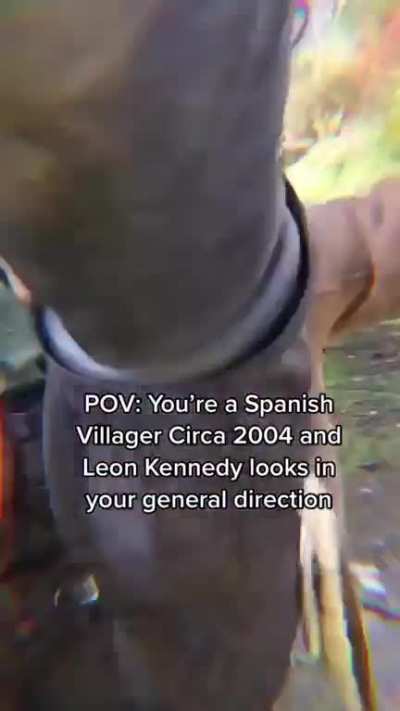Leon Really Does Like Beating Up Villagers