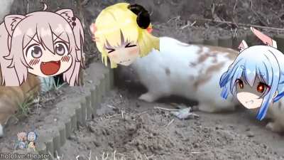 Pekora and Watame versus Botan