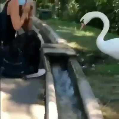 maskeyi tak seni sürtük!!