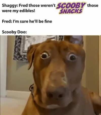 Scooby Ahh Edibles