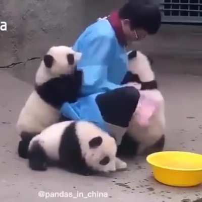 I want this job
