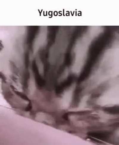 rule
