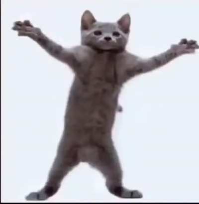 wunk funk