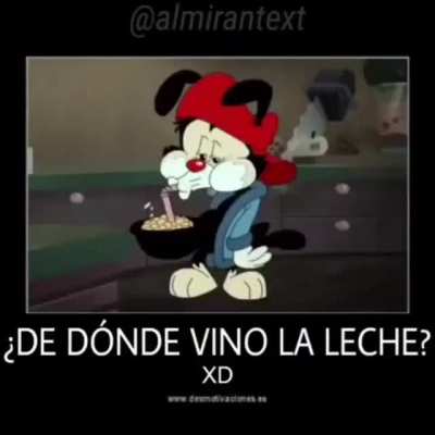 XD si llegue tarde