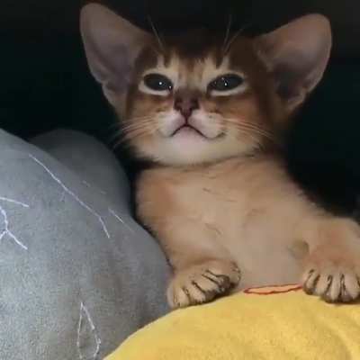 goodnight Reddit