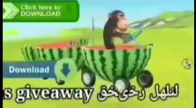 MONKE RIDING CIDEO DOWNLOAD!!!!!! WATERMELLON TRAN!<wbr>!!!!!<wbr>11122<wbr>2222!<wbr>!!!!! FREE CAMELA GIF11<wbr>11222<wbr>22!!!<wbr>!!!!