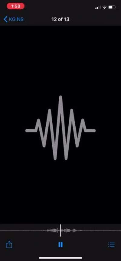 New Slaves Frank Vocals