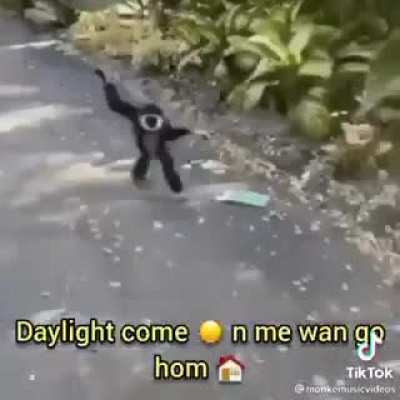Enjoy monke