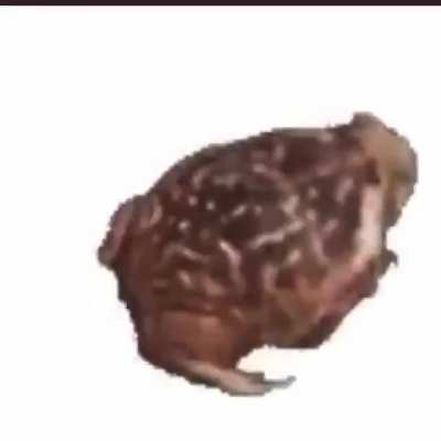 spinning frog