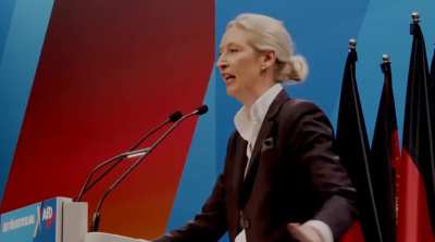 Weidel will alle Windräder niederreißen