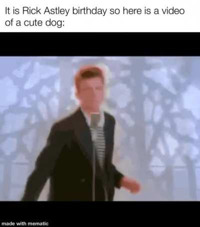 Very cute dog alert.