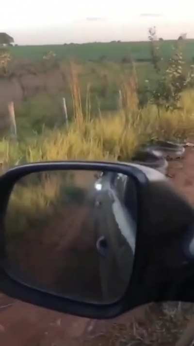 Eduardo, the unpassable road guardian and bane of other Eduardos