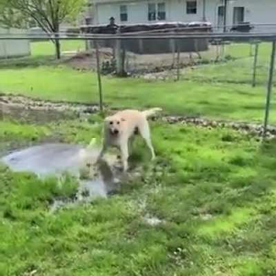 The water seems to have a strange effect on him....