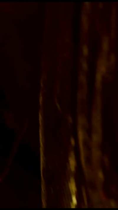 Rii Sen's extramile scene from Bengali movie 'Gandu' (Part 2)