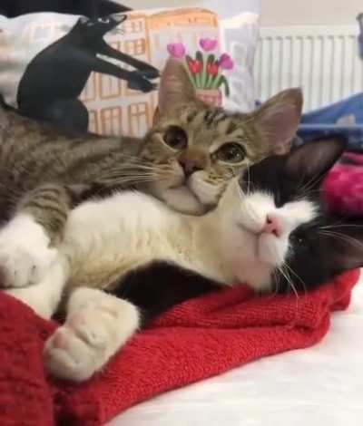 it could be us😂