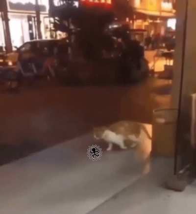 [fluff]