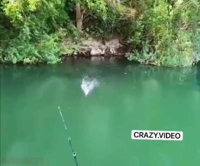 Unreal catch