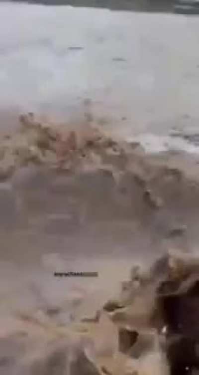 Чай на берегу реки