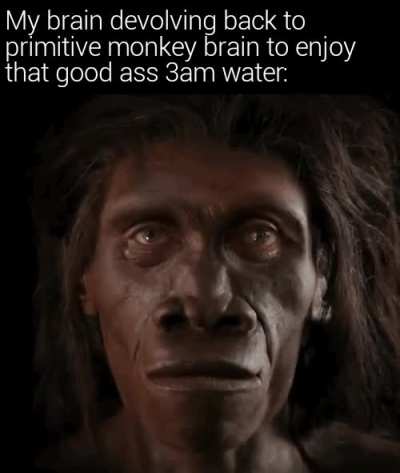 Posting a meme for every day of 2020 Day 345