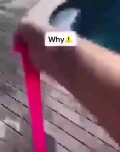 Why⚠️