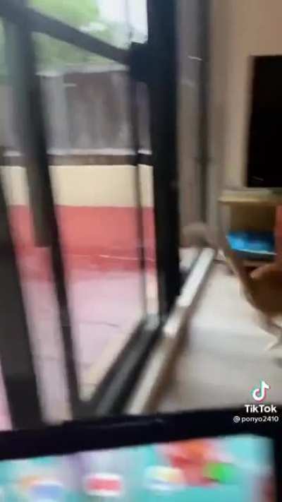 Мау