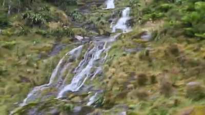 Elk falls down a waterfall and dies