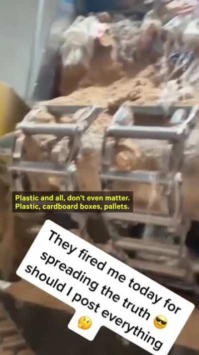 Plastic in Pork