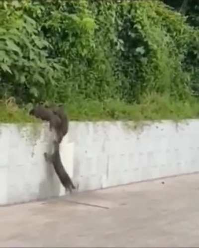 Своих не бросаем
