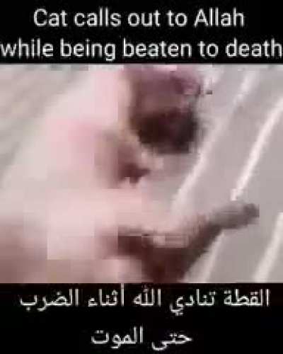 mashallah