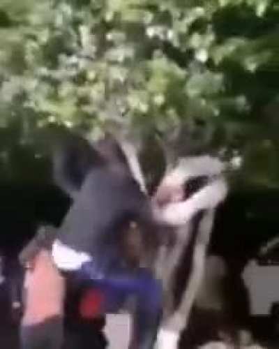Sex with tree