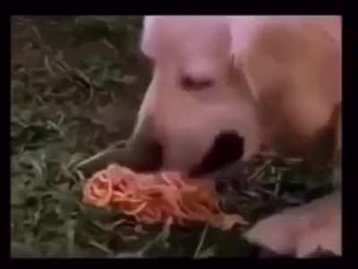 FOODIE