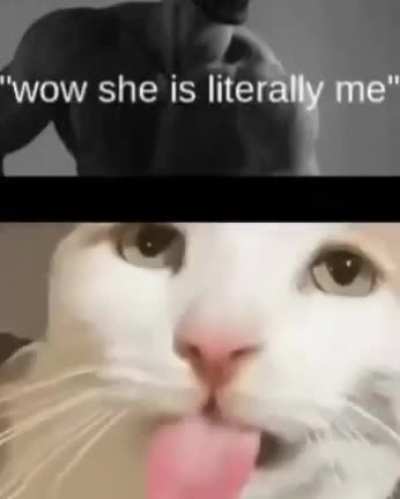 my ass is SILLY
