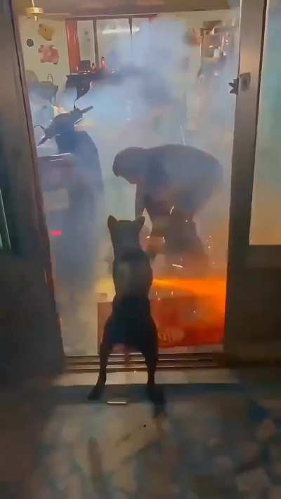 Dog is a man's best friend